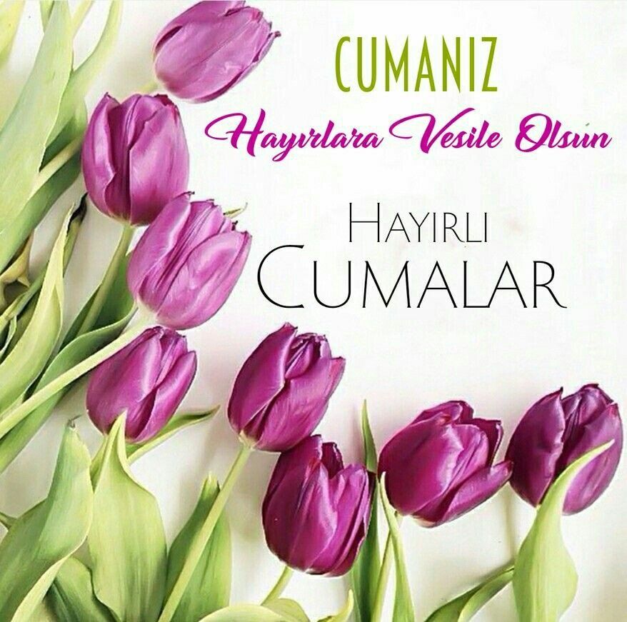 En güzel, en yeni ve en anlamlı Cuma mesajları, Cuma sözleri