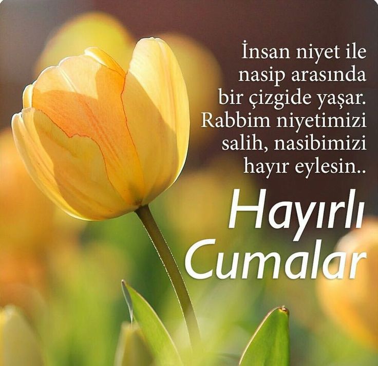 En güzel, en yeni ve en anlamlı Cuma mesajları, Cuma sözleri