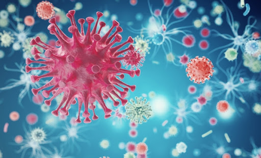 Corona virüsü nedir?