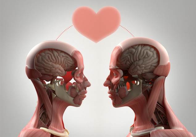 Sapyoseksüel ne demek? Sapyoseksüellik nedir?