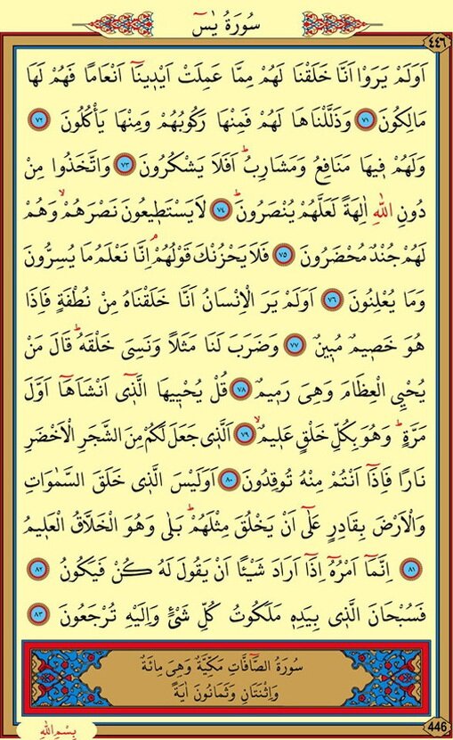 Yasin Suresi nasıl okunur? Yasin suresi Türkçe meali