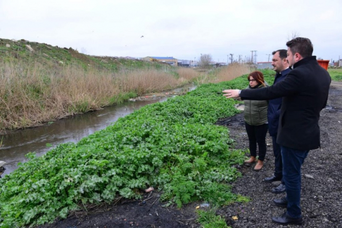 Larva, uçkun ve sinekle mücadele