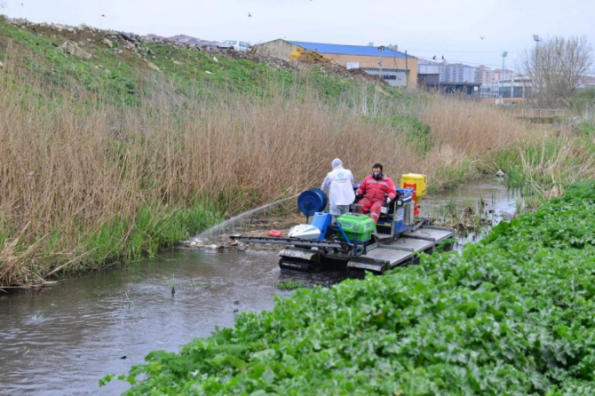 Larva, uçkun ve sinekle mücadele