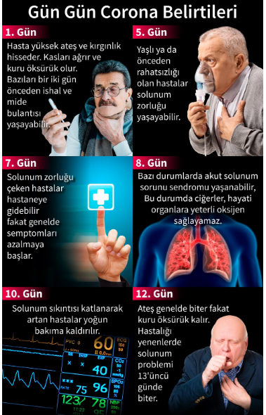 Çin akıllanmıyor! Hala pazarlarda köpekleri kesiyor, yarasa yiyorlar