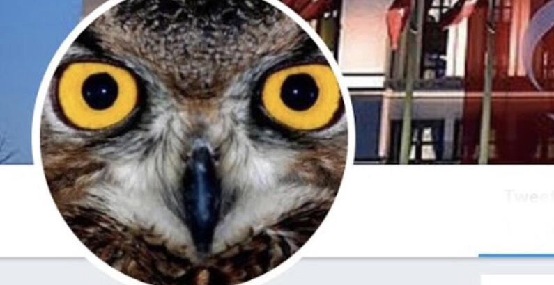 'Ankara Kuşu' gözaltında!