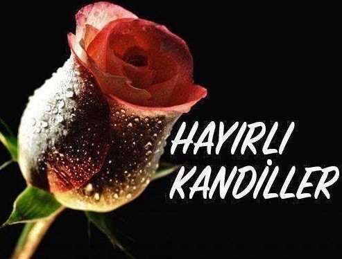 Berat Kandili ile ilgili mesajlar