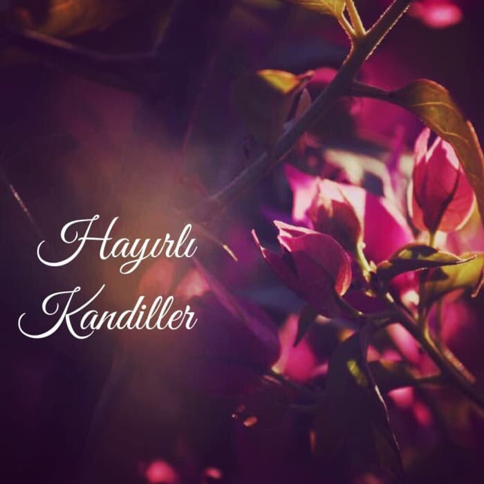 Berat Kandili mesajları resimli 2022 | En güzel, anlamlı, hadisli, uzun kısa, Berat Kandili mesajları Facebook, Whatsapp