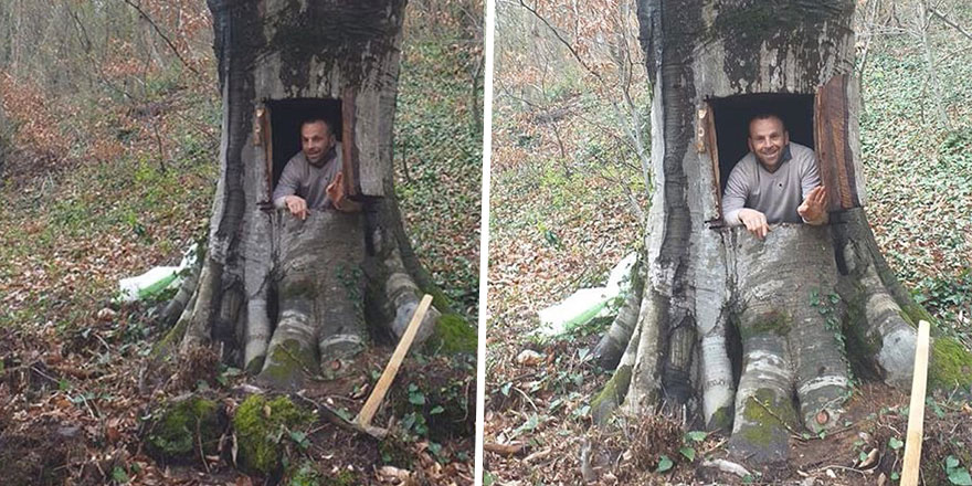 Virüsten korunmak için ağaç kavuğundan yuva yaptı