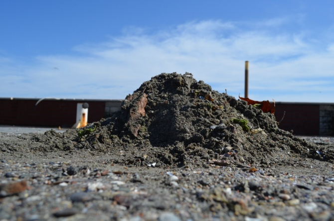 Dev dalgalardan geriye kum ve midye tepecikleri kaldı