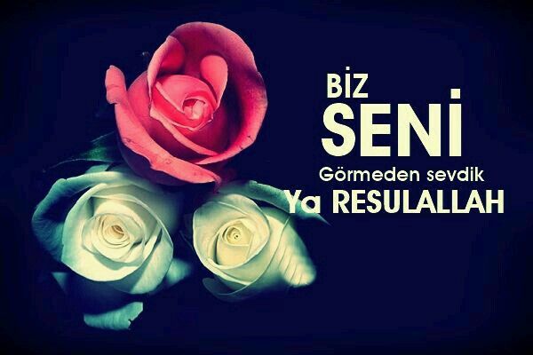 Kutlu doğum haftası resimli mesajlar