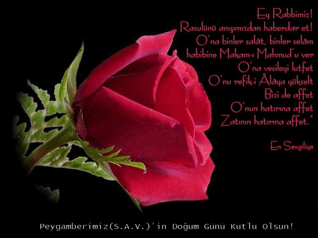 Kutlu Doğum Haftası ile ilgili hadisler