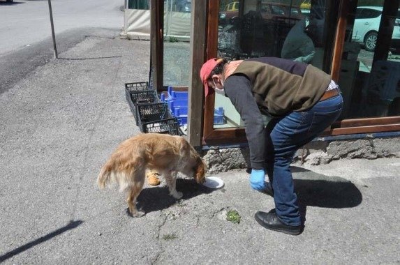 Sevimli köpek, tedaviye alınan sahibini günlerdir hastane bahçesinde bekliyor!