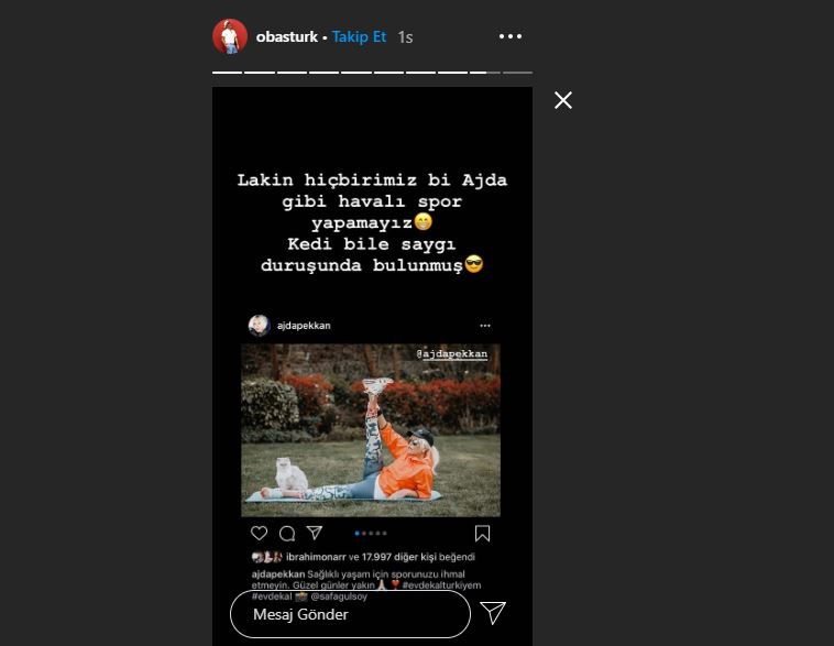 Ajda Pekkan, sosyal medyayı salladı! 