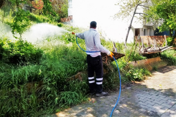 Süleymanpaşa’da yaza hazırlık