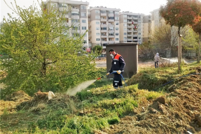Süleymanpaşa’da yaza hazırlık