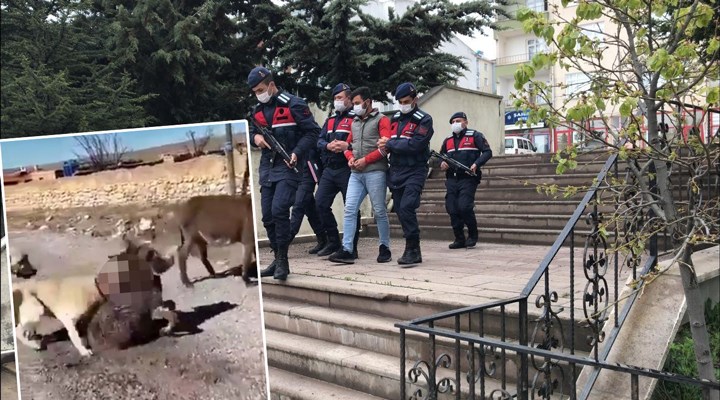Berat Kaya kimdir? Tutuklandı mı? Haymana'daki olay nedir?