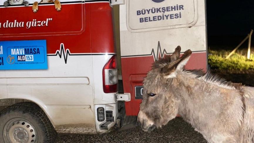 Berat Kaya kimdir? Tutuklandı mı? Haymana'daki olay nedir?