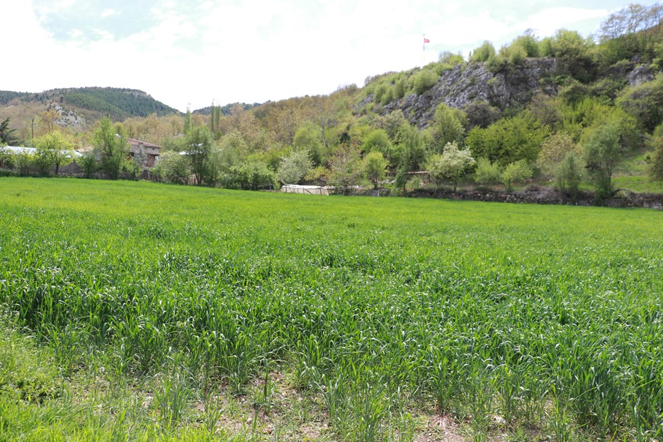 Ambulans helikopterinin tarlasına inmesine izin vermemişti: Hastadan haberin yoktu. Bizi rezil ettiler