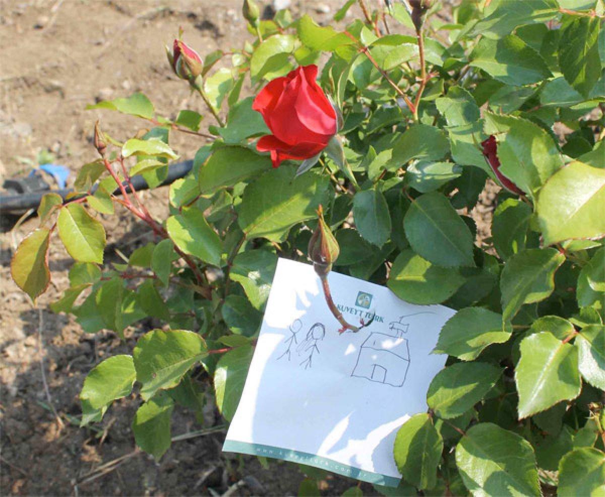 Hıdrellez'de nasıl dilek dilenir?