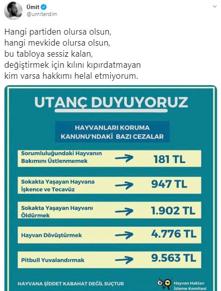 Ünlü oyuncu isyan etti: Bu tabloya sessiz kalanlara hakkımı helal etmiyorum