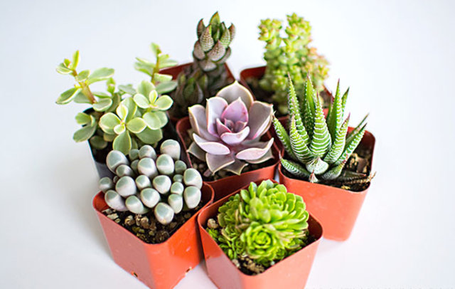 El yapımı Anneler Günü hediyesi | El yapımı Anneler Günü hediyeleri