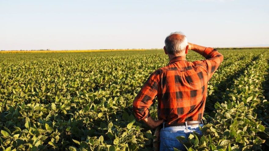 14 Mayıs Çiftçiler Günü mesajı |14 mayıs Dünya Çiftçilik Günü sözleri