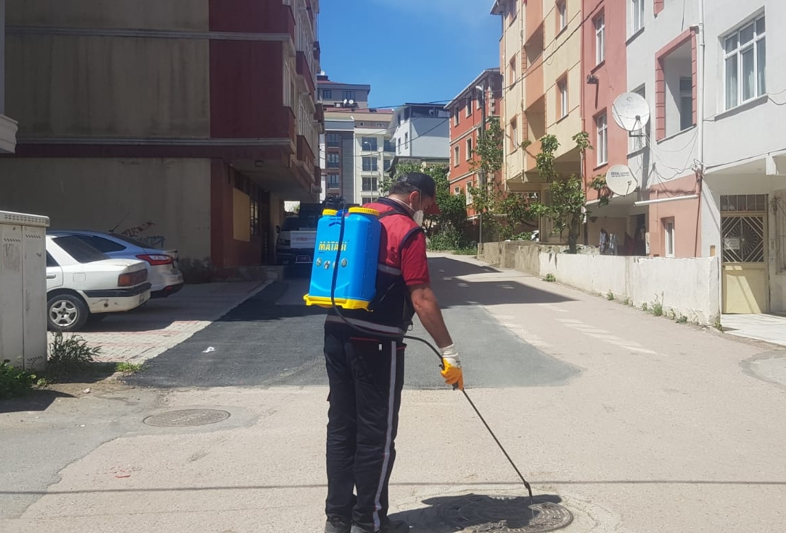 Pendik Belediyesi haşerelere karşı ilaçlama çalışmalarına başladı