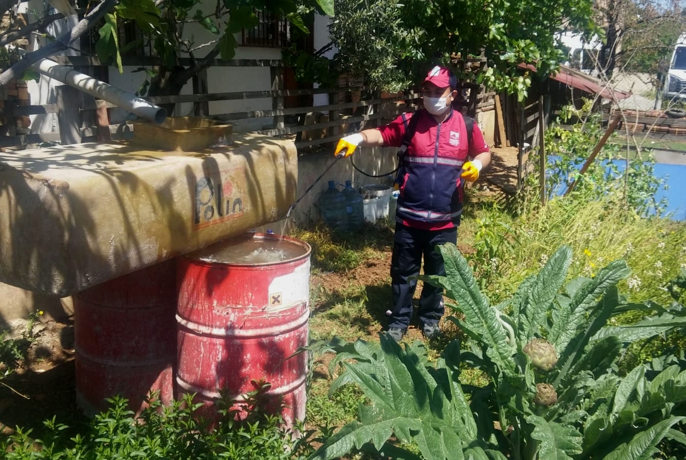 Pendik Belediyesi haşerelere karşı ilaçlama çalışmalarına başladı
