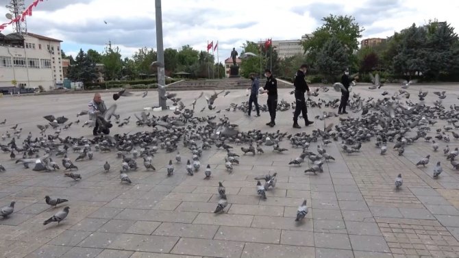 Kırıkkale'de gülümseten görüntüler! Polis ve basın güvercinleri besledi