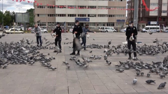 Kırıkkale'de gülümseten görüntüler! Polis ve basın güvercinleri besledi