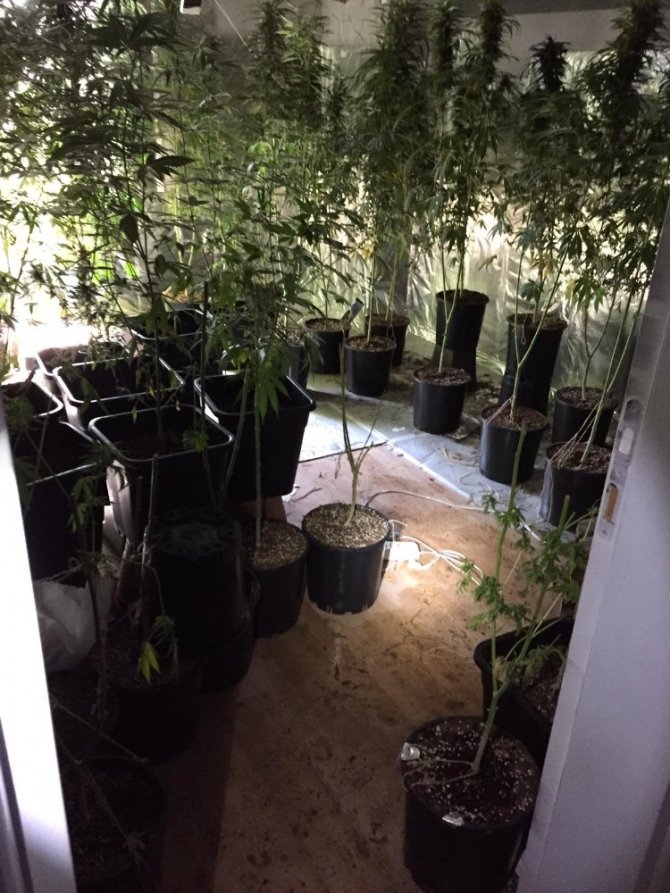 Kuşadası’nda lüks villadaki uyuşturucu imalathanesine baskın