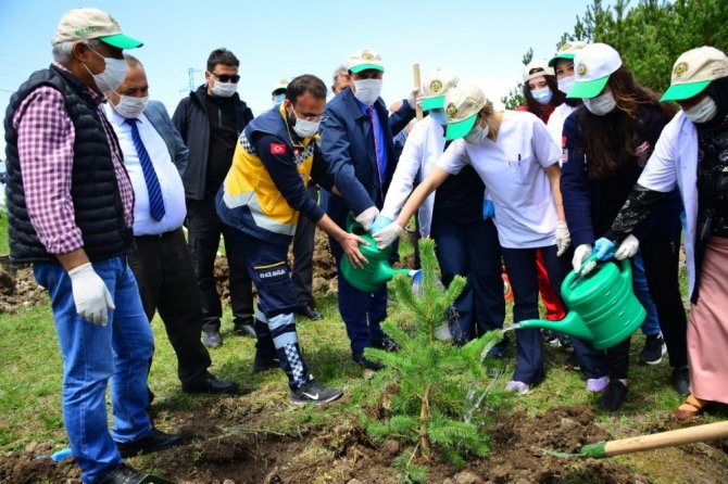 Sağlık çalışanları için anlamlı hareket! Bin fidan dikildi