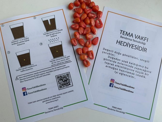 TEMA Vakfı Bandırmalı çocuklara 50 bin tohum dağıttı
