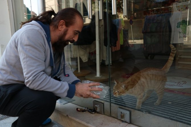 Mağazada 2 gün boyunca mahsur kalan kediyi kurtardırlar