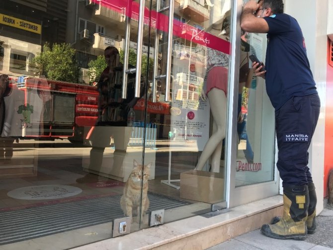 Mağazada 2 gün boyunca mahsur kalan kediyi kurtardırlar