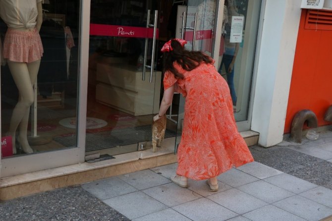 Mağazada 2 gün boyunca mahsur kalan kediyi kurtardırlar