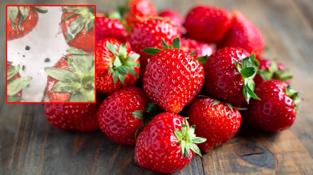 Çilekleri tuzlu suda bekletirseniz ne olur? Bu deney sosyal medyada viral oldu!