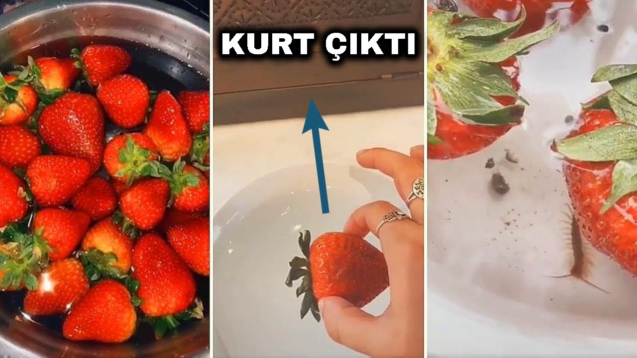 Çilekleri tuzlu suda bekletirseniz ne olur? Bu deney sosyal medyada viral oldu!