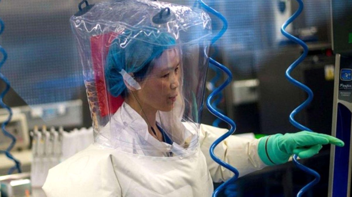 ‘Yarasa kadın’dan korkutan uyarı! Bu buzdağının sadece görünen kısmı