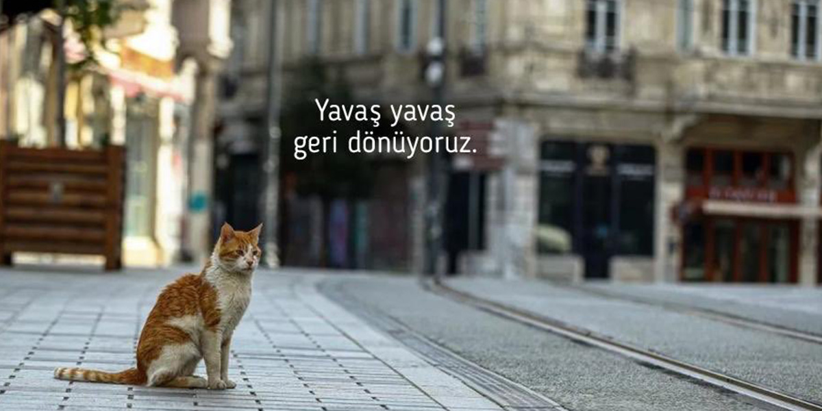 Sağlık Bakanı Koca uyardı: "Evimizin kıymetini bilmeye devam etmeliyiz"