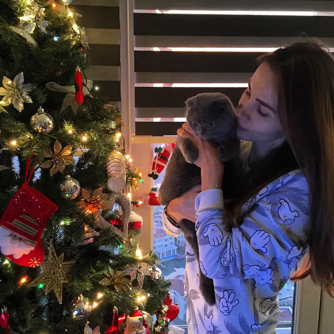 Yasemin Hadivent kedisi için kariyerinden vazgeçti