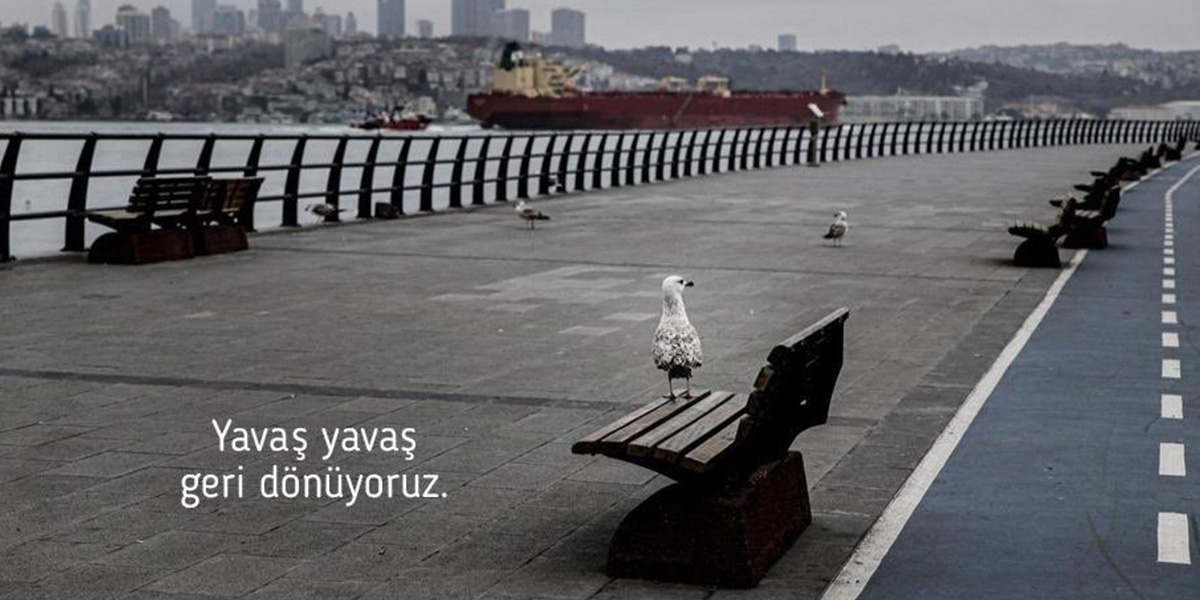 Sağlık Bakanı Koca uyardı: "Evimizin kıymetini bilmeye devam etmeliyiz"