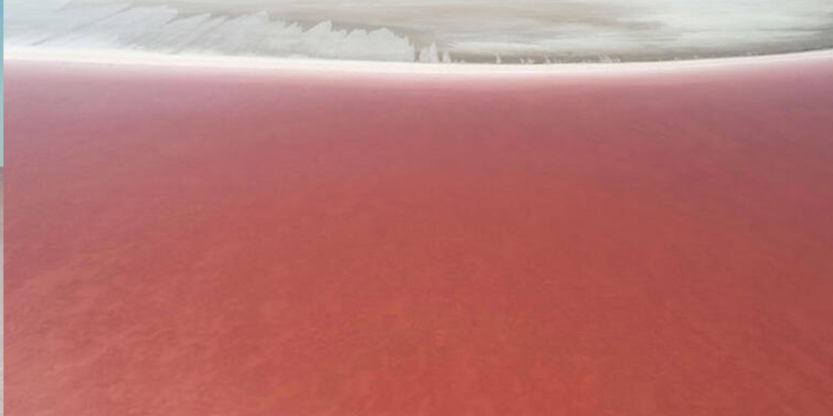 Tuz Gölü pembe mi oldu? Tuz Gölü nede pembe renge büründü?