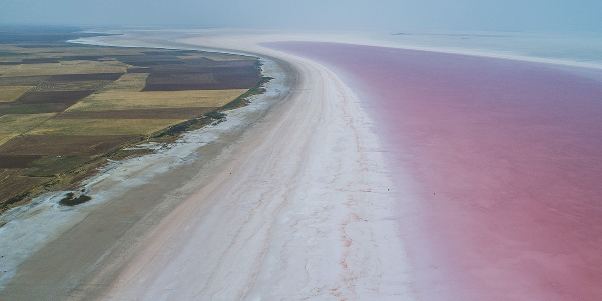 Tuz Gölü pembe mi oldu? Tuz Gölü nede pembe renge büründü?