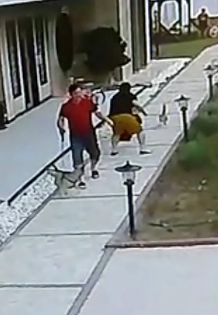 Anne kedi, yavrularını korumak için Korkmaz çiftine ve köpeklerine saldırdı