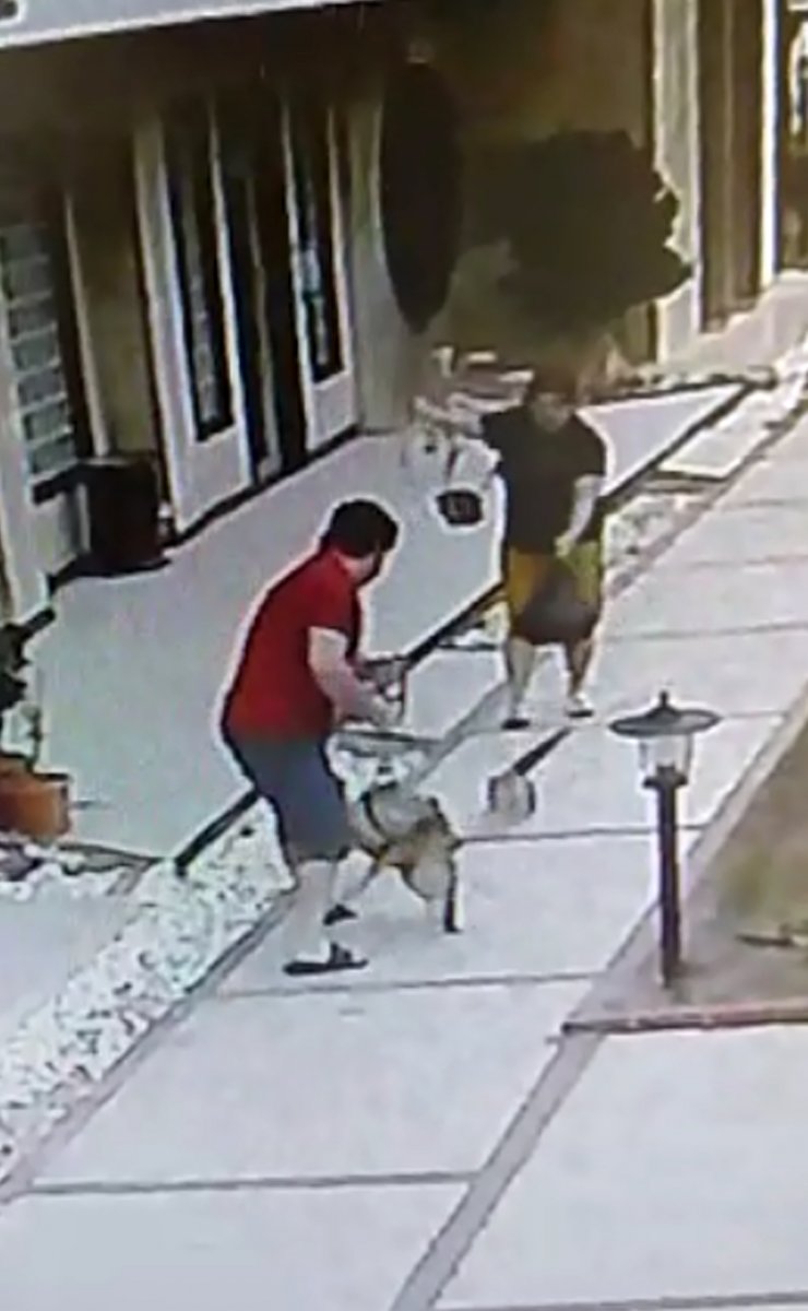 Anne kedi, yavrularını korumak için Korkmaz çiftine ve köpeklerine saldırdı