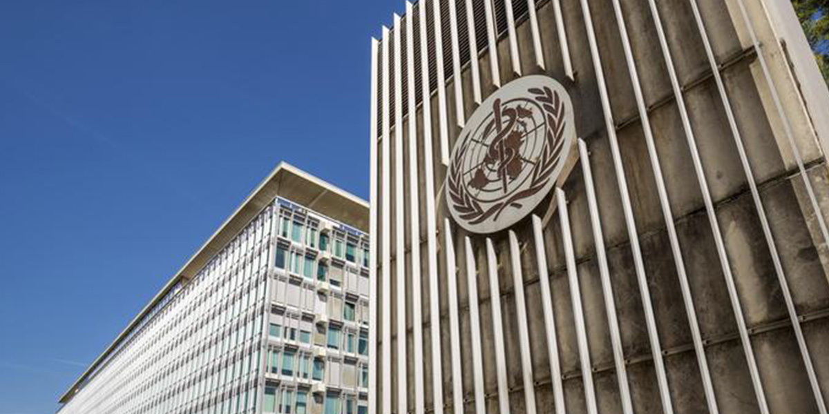 Cumhurbaşkanı Yardımcısı Fuat Oktay'dan DSÖ'ye tepki!