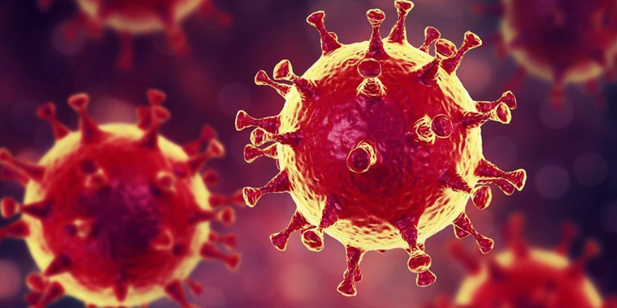 Prof. Dr. Fatih Tank, koronavirüs salgınının biteceği tarihi açıkladı