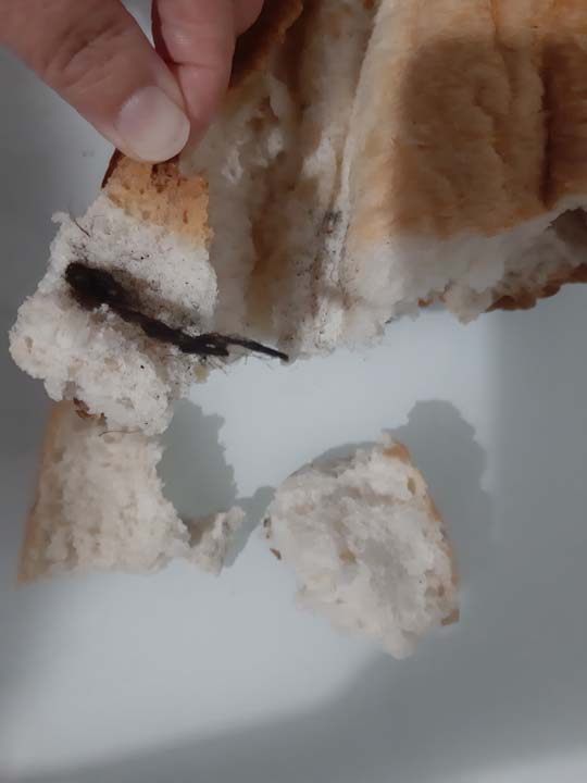 Paket ekmeğin içinden mide bulandırıcı görüntüler pes dedirtti!