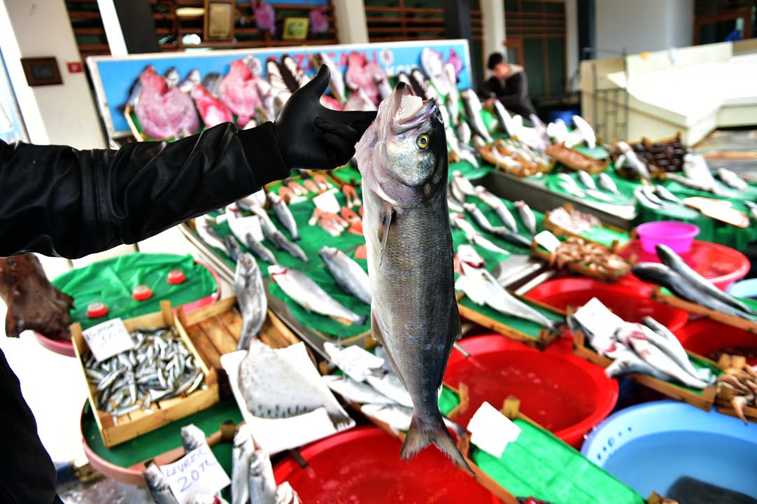 Koronavirüs döneminde balığa rağbet arttı!